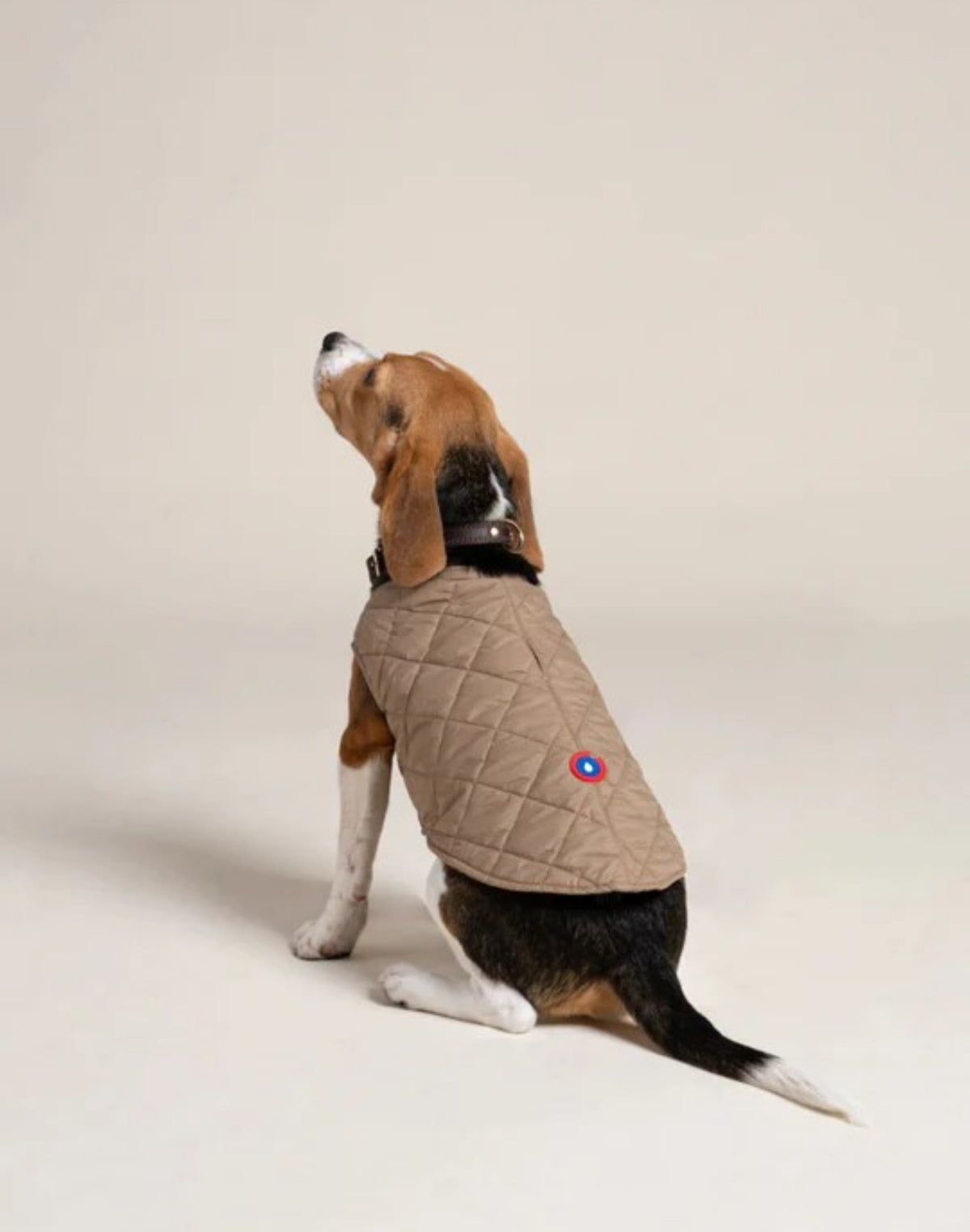 Dog Gilet Jacket