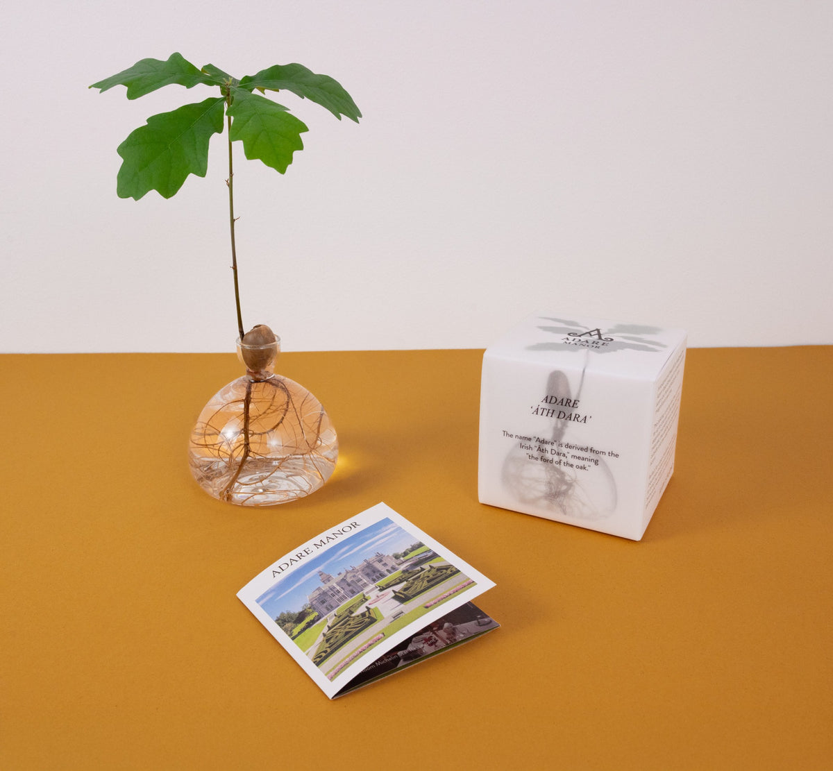 Adare Manor- Acorn Vase